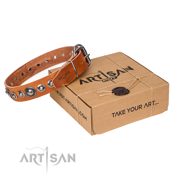 Full grain genuine leather dog collar made of top rate material with strong fittings