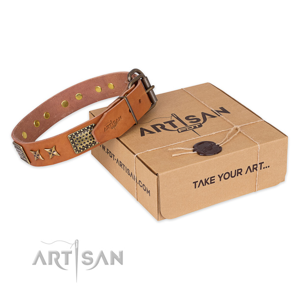 Strong buckle on full grain natural leather collar for your attractive dog