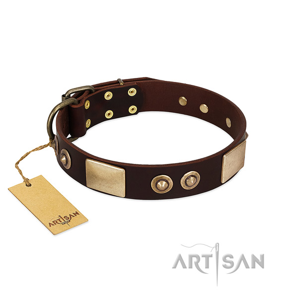 Easy adjustable genuine leather dog collar for everyday walking your four-legged friend