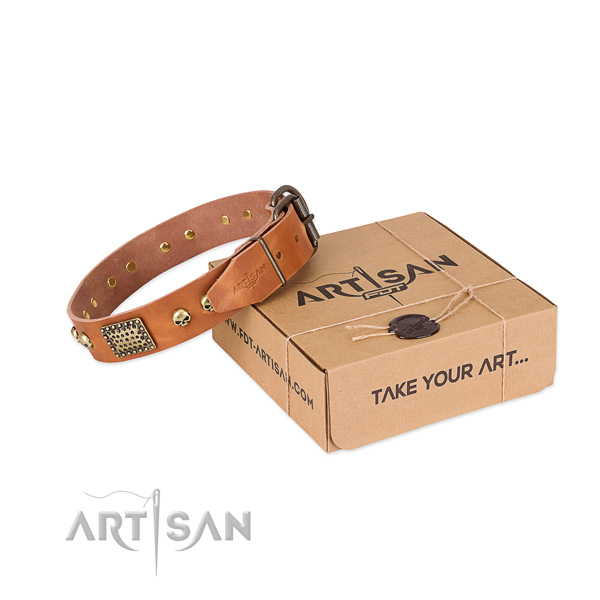Rust-proof buckle on dog collar for easy wearing
