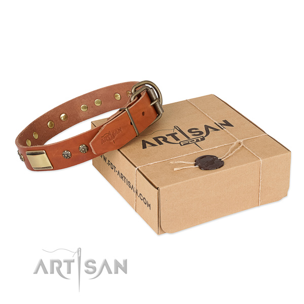 Exquisite leather collar for your handsome four-legged friend