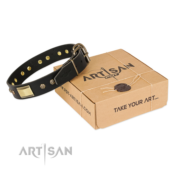 Fine quality leather collar for your lovely doggie