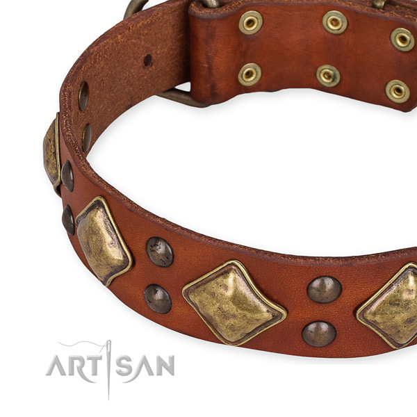Genuine leather collar with reliable traditional buckle for your impressive pet
