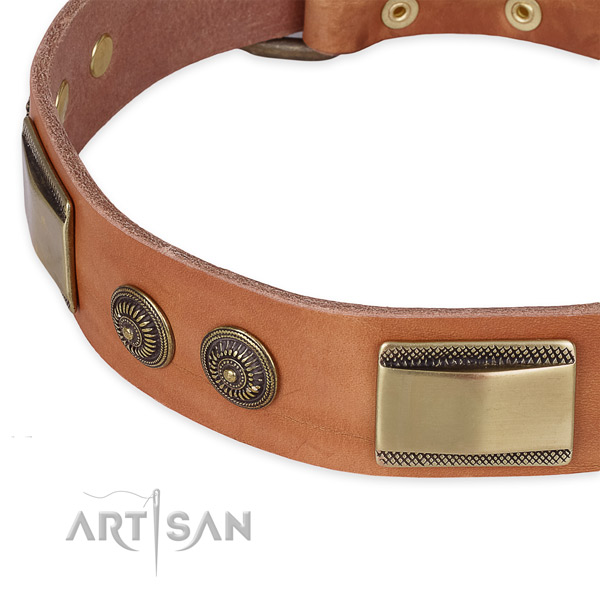 Reliable D-ring on leather dog collar for your dog