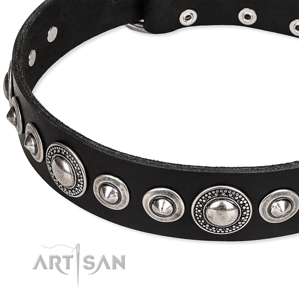 Comfy wearing embellished dog collar of quality full grain leather
