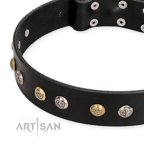 Leather dog collar with stylish design rust-proof decorations