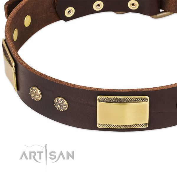 Corrosion proof adornments on genuine leather dog collar for your doggie