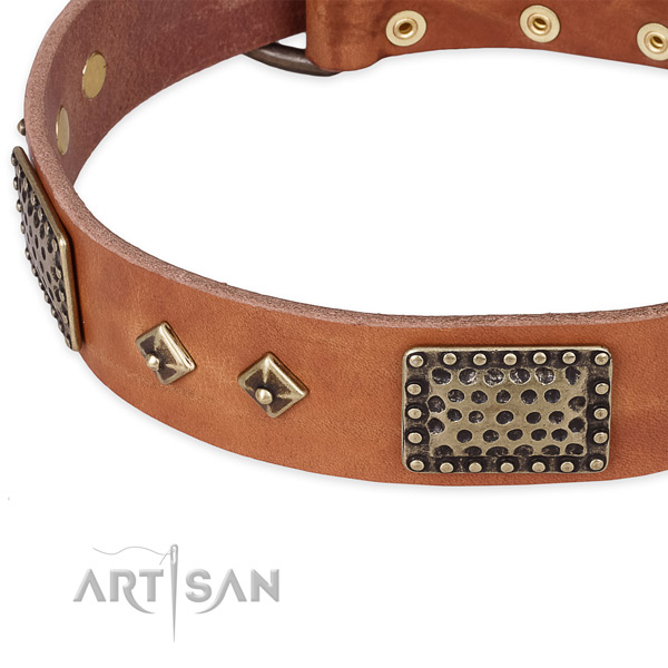 Rust-proof embellishments on full grain genuine leather dog collar for your canine