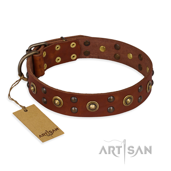Adorned genuine leather dog collar with reliable fittings