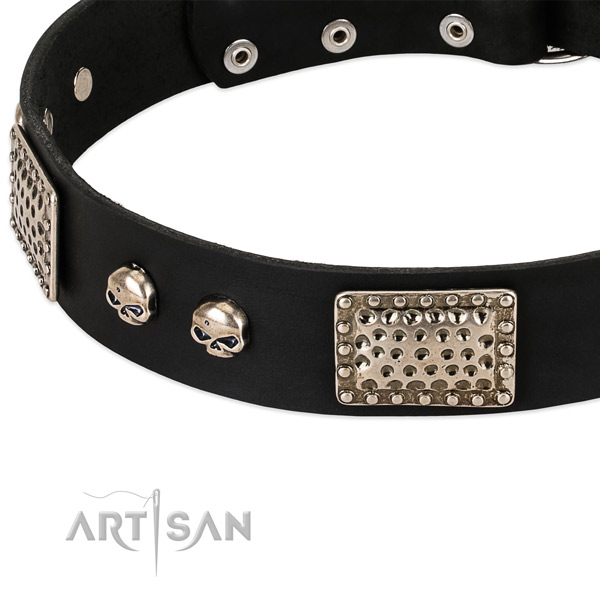Durable adornments on leather dog collar for your four-legged friend