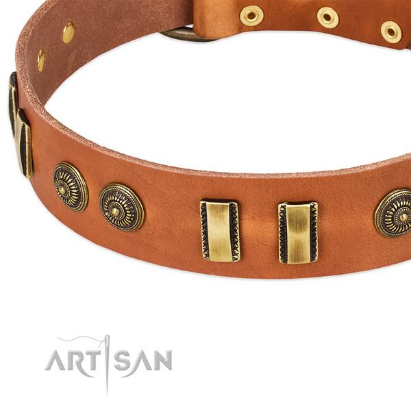 Corrosion proof decorations on full grain genuine leather dog collar for your canine