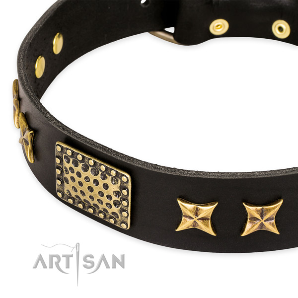 Full grain leather collar with durable hardware for your stylish pet