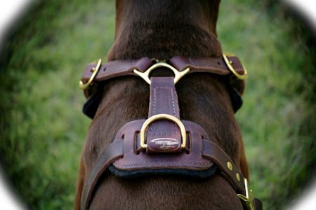 Exclusive Luxury Handcrafted Padded Leather Dog Harness