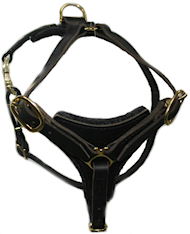 Doberman Tracking Walking leather dog harness- dobe hanress