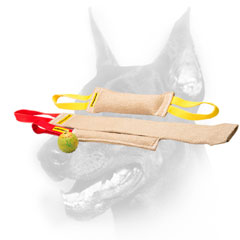 Doberman Puppy Training Set With Great Training Toy