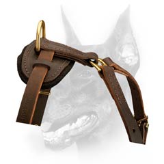Handcrafted Leather Harness
