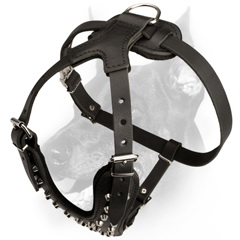 Fashion easy adjustable leather harness with studs