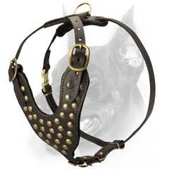 Unique beautiful studded leather dog harness