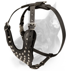 Leather comfortable studded dog harness