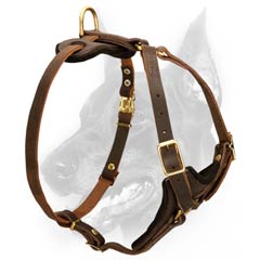Multifunctional Leather Harness for your dog