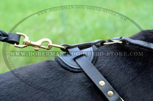 Comfortable  Leather Dog Harness