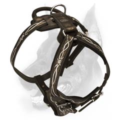 Barbed Wire Leather Harness