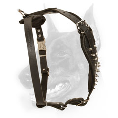 Reliable most beautiful leather dog harness