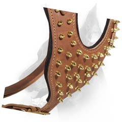 Unique leather dog harness with spikes