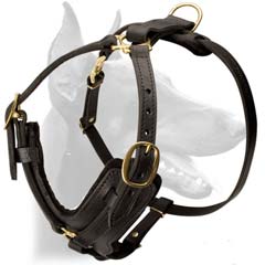Custom leather beautiful leather odg harness