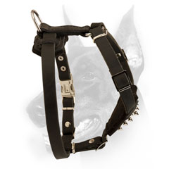 Professional Doberman puppy Harness for proper weight distribution