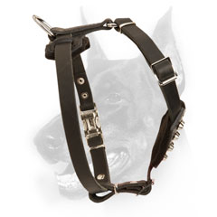 High-quality Doberman puppy Harness for controlling with pleasure