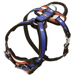Multifunctional Leather Harness