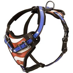 Hand Painted Leather Harness