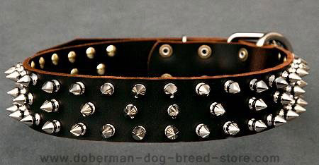 Leather Spiked Dog Collar - 3 Rows of spikes for doberman dog