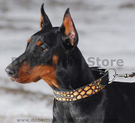 Doberman dog collar - Hand painted by our artists for Doberman