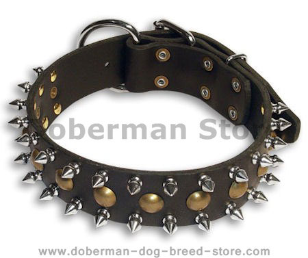 Doberman Studded&Spikes Black collar 23'' /23inch dog collar-S55
