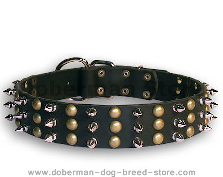 Doberman Studded&Spikes Black collar 23'' /23 inch dog collar-S59