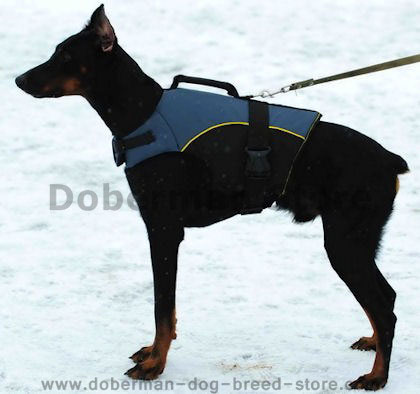 Doberman nylon coat-Doberman nylon dog harness  Doberma vest
