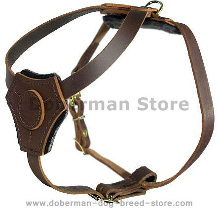 doberman puppies for sale. as a white dobermans White