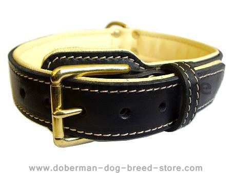 Royal Nappa Padded Hand Made Leather Dog Collar for Doberman
