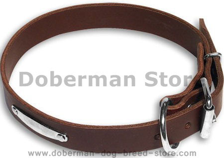 doberman-dog-reed-store.com dogs breed names. doberman-dog-reed-store.com