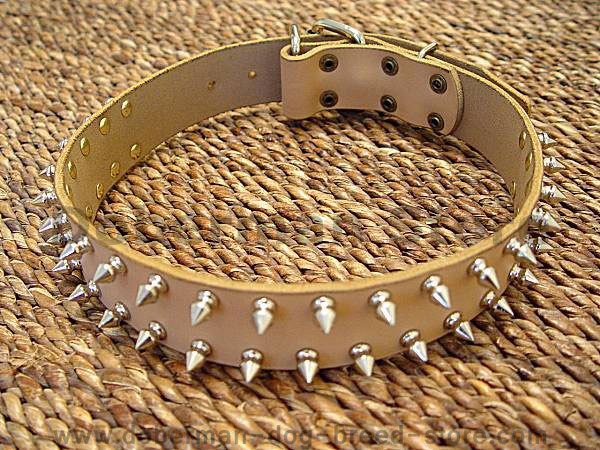 Leather Spiked Dog Collar for doberman dog