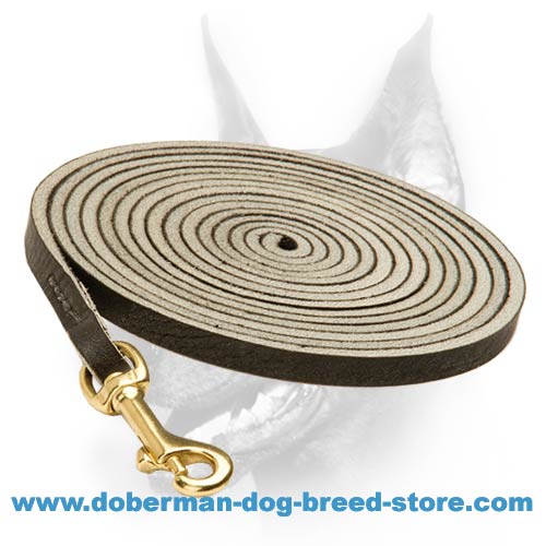 Hand crafted dog lead