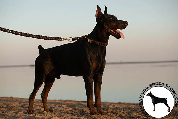 Doberman leather leash with rust-proof hardware for improved control