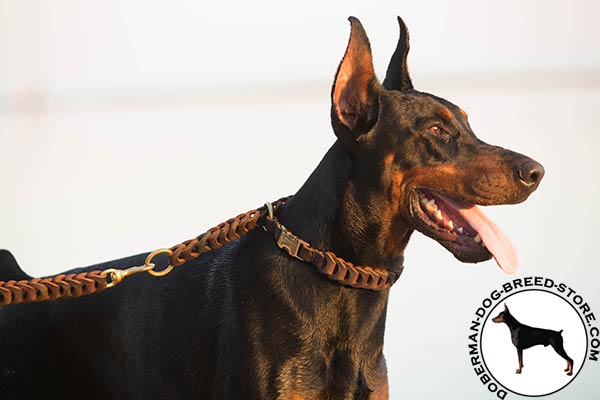 Doberman leather leash with rust-proof hardware for walking