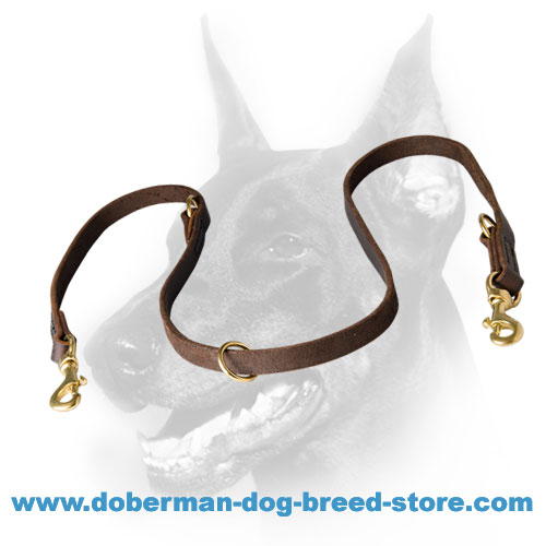 Unique Leather Dog Leash for Doberman