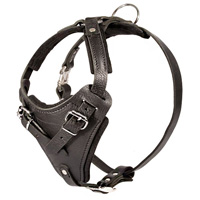 Agitation/Protection Leather Doberman Harness