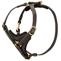 Exclusive Doberman Handcrafted Padded Leather Dog Harness