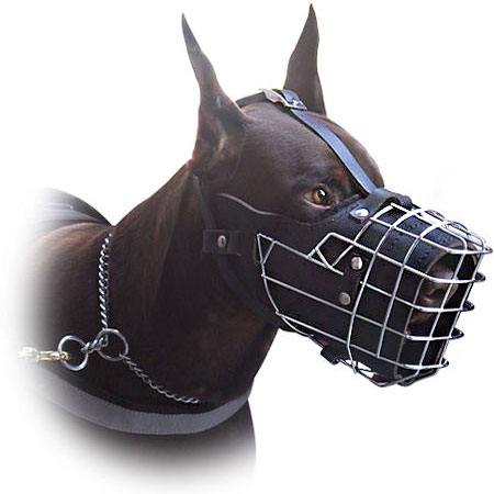 Doberman dog muzzles, Doberman leather dog muzzle, Doberman agitation muzzle, Doberman wire basket dog muzzles