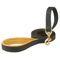 
Handmade Strong Dog Leash for Doberman